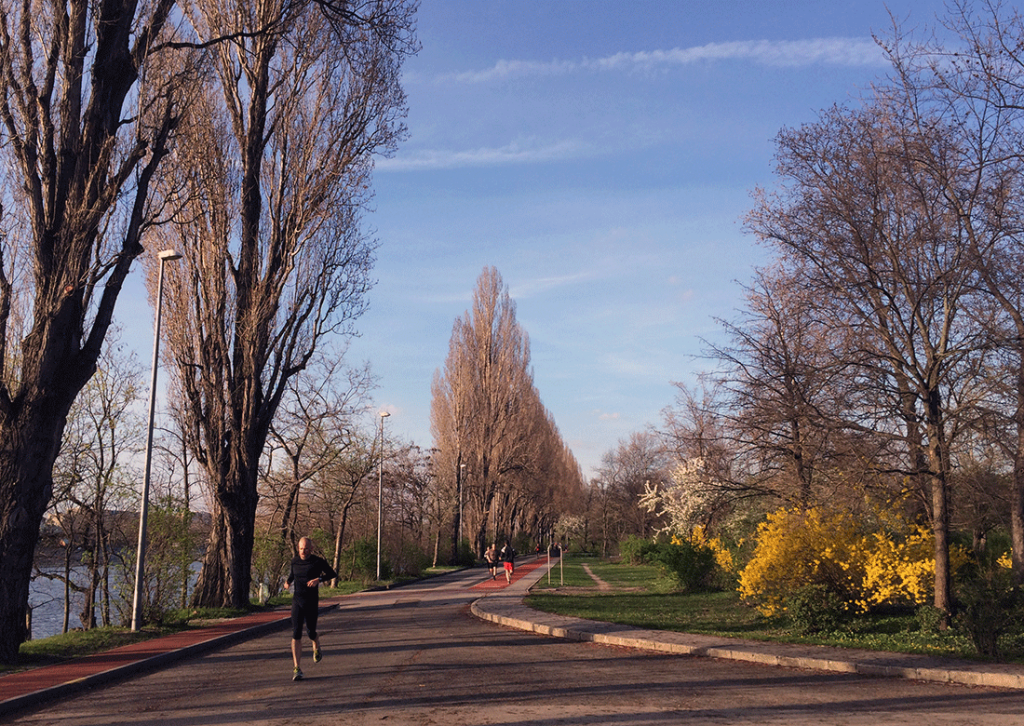 4- Margaret Adası'nda Piknik Yapmak